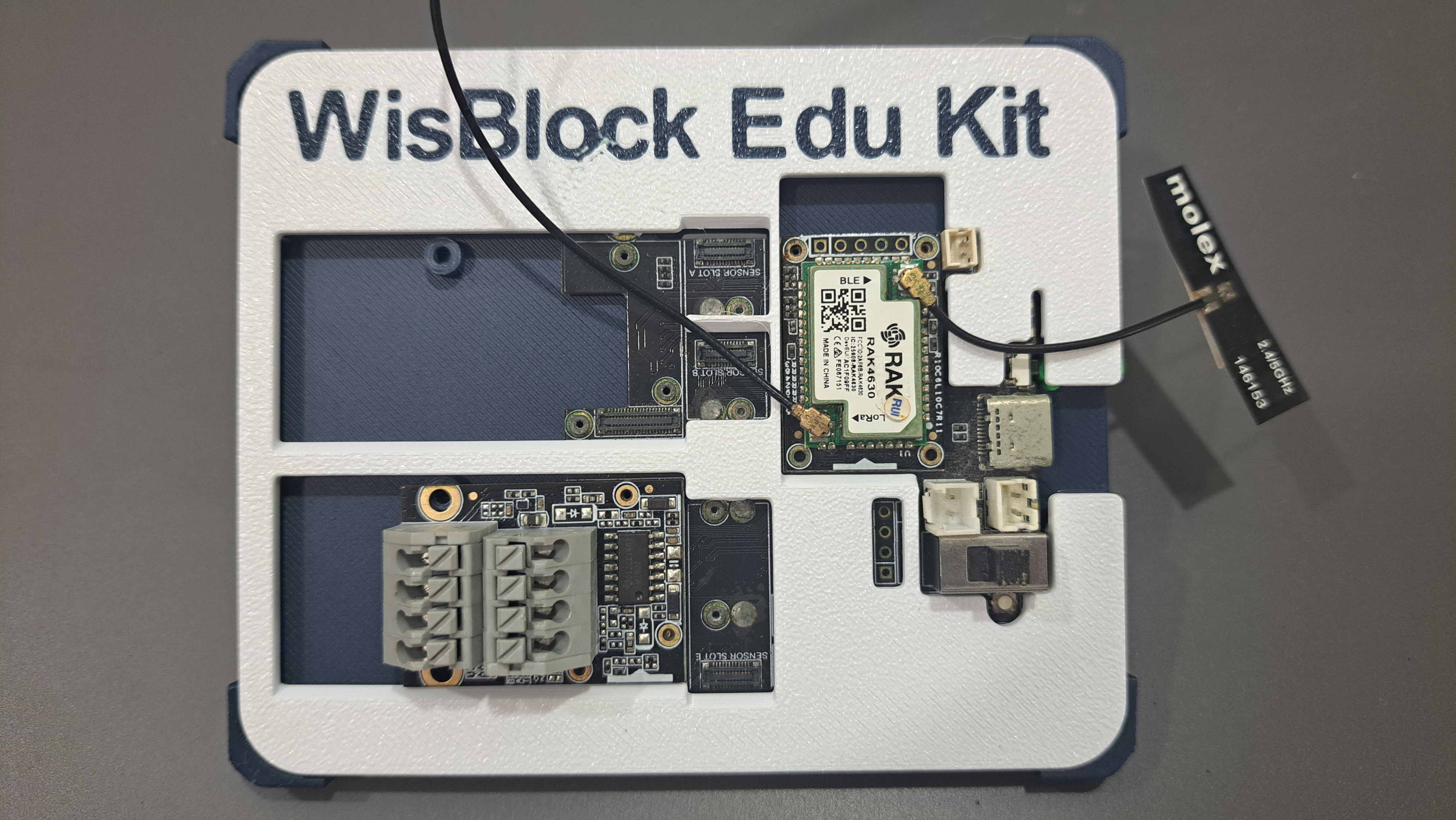 WisBlock Education Stand