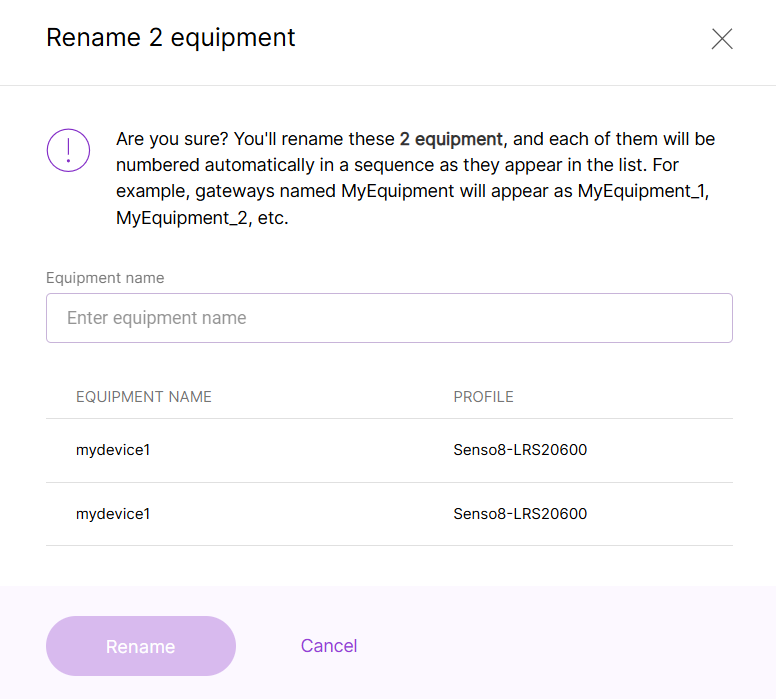Bulk Rename Equipment
