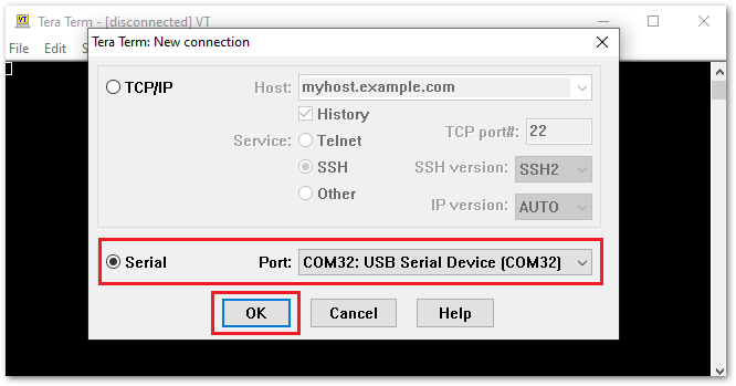 Tera Term New connection window