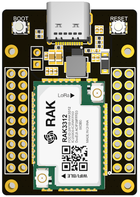 RAK3212