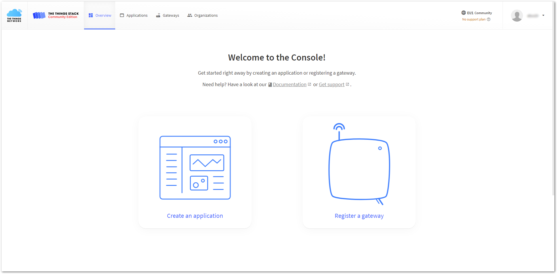 Console Page After a Successful Login